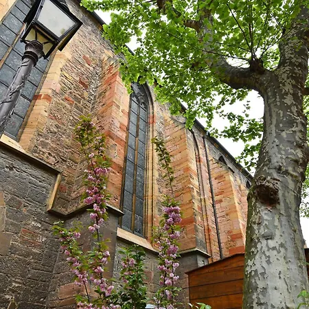 Beraweka Avec Climatisation Et Salle De Sport