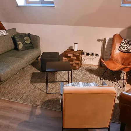 Beraweka Avec Climatisation Et Salle De Sport Apartment Colmar