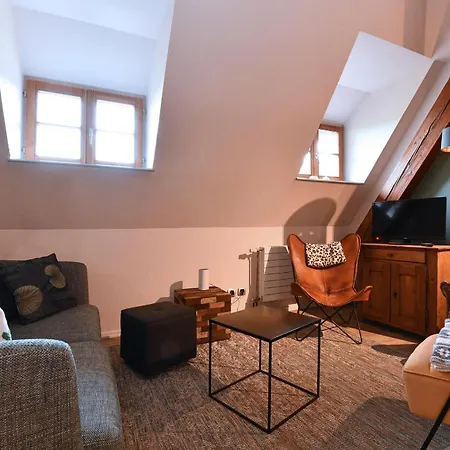 Apartment Beraweka Avec Climatisation Et Salle De Sport Colmar