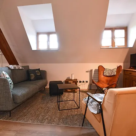 Beraweka Avec Climatisation Et Salle De Sport Apartment Colmar