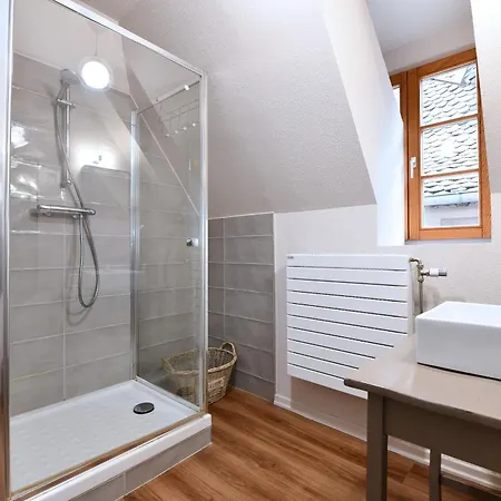 Beraweka Avec Climatisation Et Salle De Sport * Colmar