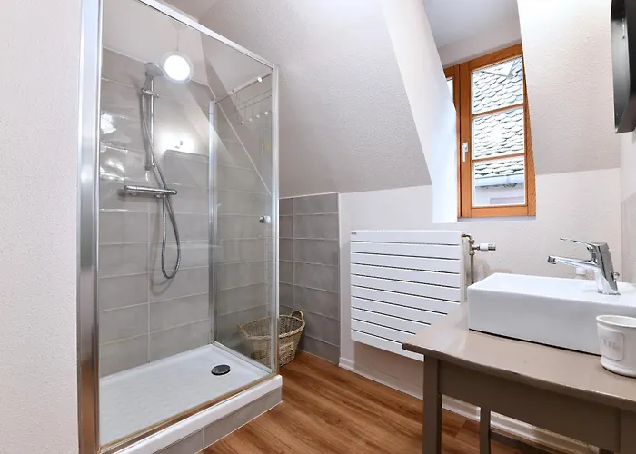 Beraweka Avec Parking, Climatisation Et Salle De Sport * Colmar