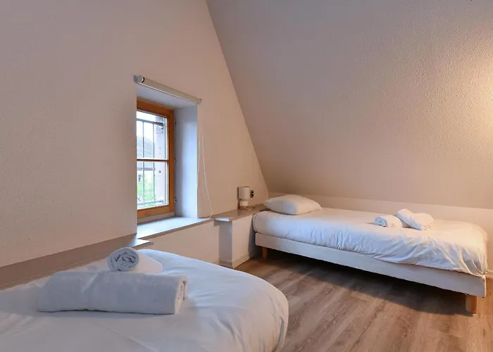 Beraweka Avec Parking, Climatisation Et Salle De Sport Apartamento Colmar